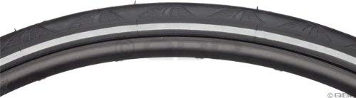 Continental Grand Prix 4000 Bicycle Tire with Black Chili/Reflex (700x25, Black)